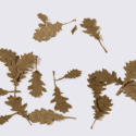 AK Interactive - Dry Oak Leaves