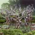 Printable Scenery - Wildwood Trees